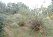 Suelo urbano en venta en la España, Bigues, ref: TR406385 foto