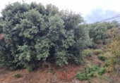 Suelo urbano en venta en la España, Bigues, ref: TR406385 foto