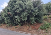 Suelo urbano en venta en la España, Bigues, ref: TR406385 foto