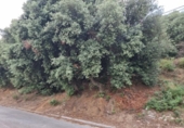 Suelo urbano en venta en la España, Bigues, ref: TR406385 foto