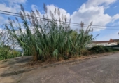 Suelo urbano en venta en la España, Bigues, ref: TR406890 foto