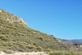 Laroles 49&nbsp;m²