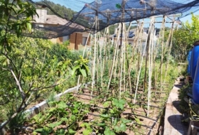 Foto 13