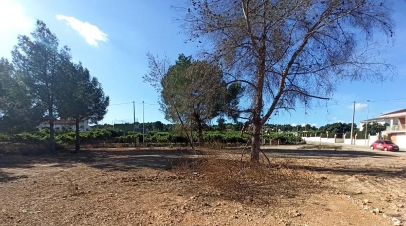 Valencia - Alberic - 3400m2