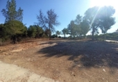 Terreno no urbanizable en venta en la España, Alberic, ref: TR129242 foto