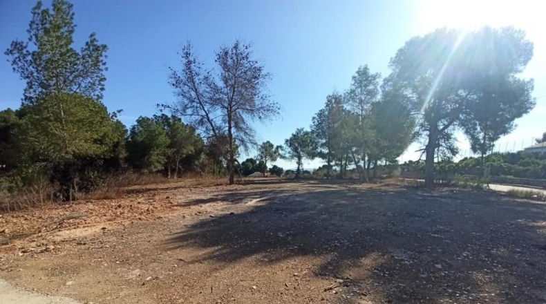 Valencia - Alberic - 3400m2