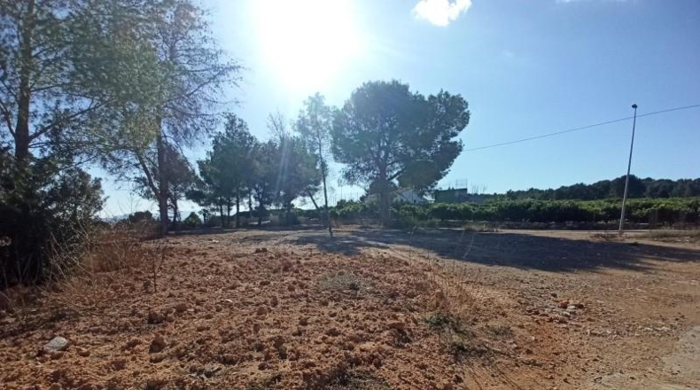 Valencia - Alberic - 3400m2