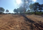 Terreno no urbanizable en venta en la España, Alberic, ref: TR129242 foto