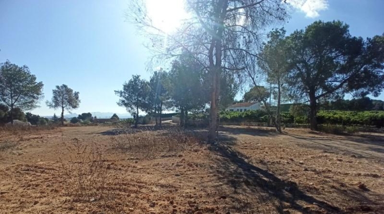 Valencia - Alberic - 3400m2