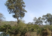 Suelo urbano en venta en la España, Campins, ref: TR130240 foto