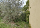 Sòl urbà en venda a la España, Olot, ref.: TR130317 foto