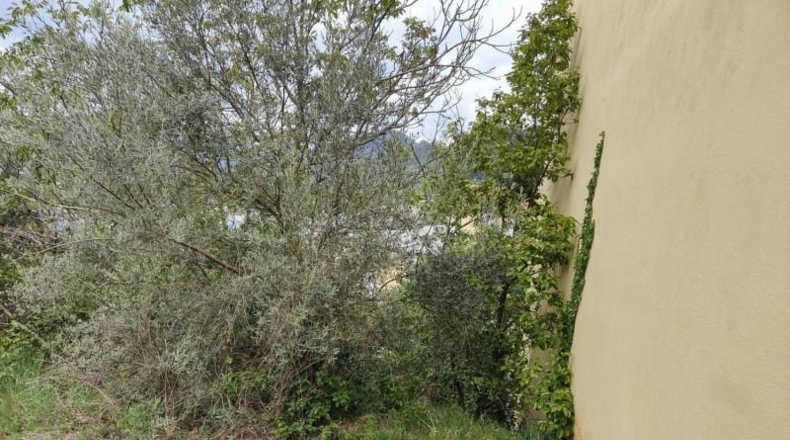 Gerona - Olot - 214m2