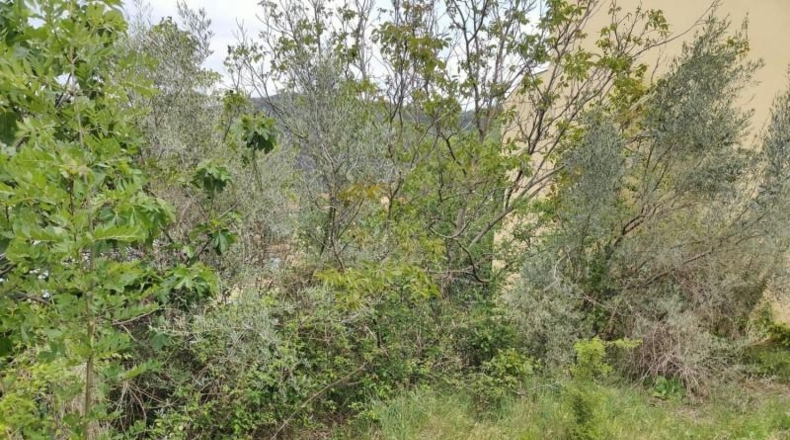 Gerona - Olot - 214m2