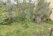 Sòl urbà en venda a la España, Olot, ref.: TR130317 foto