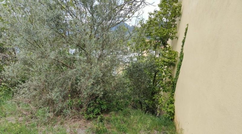 Gerona - Olot - 214m2