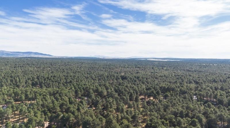 Segovia - Marugan - 2623m2
