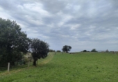 Chalet independiente con terreno en venta en la España, Villaviciosa, ref: TR275217 foto