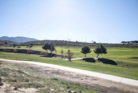 Foto 10