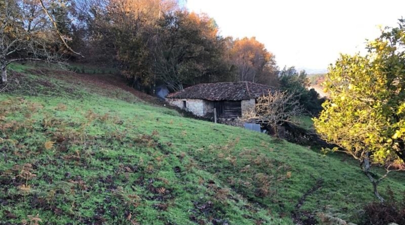 Pontevedra - Silleda - 1173m2