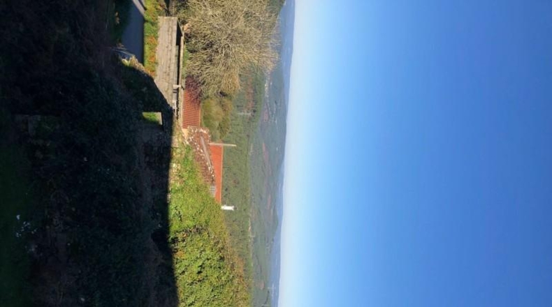 Pontevedra - Silleda - 1173m2