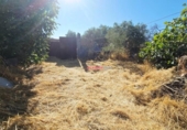 Casa de pueblo en venta en la España, Alcaracejos, ref: TR348039 foto
