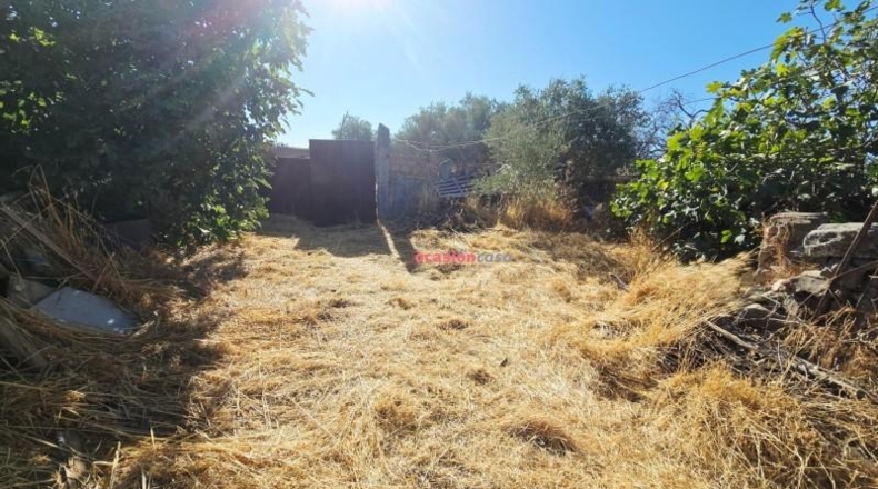 Córdoba - Alcaracejos - 294m2
