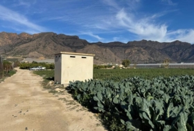 Orihuela 3942&nbsp;m²