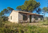 Chalet independiente con terreno en venta en la España, Macastre, ref: TR364584 foto