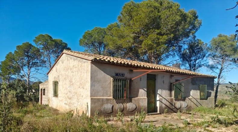 Valencia - Alcira - 8260m2