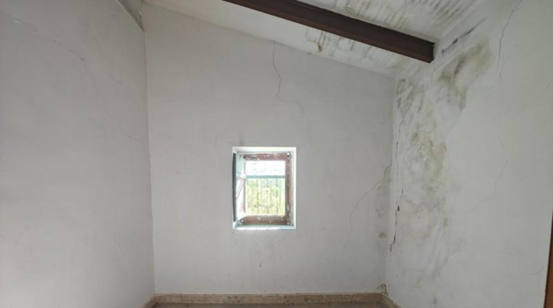 Valencia - Alcira - 8260m2