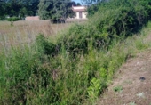 Urban land for sale on España, Cubillos del Sil, ref: TR311847 photo