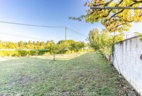 Carballo 1037&nbsp;m²
