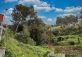 Terreno no urbanizable en venta en la España, Cervelló, ref: TR403550 foto