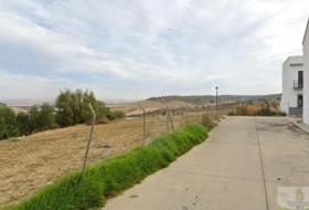 Lucena del Puerto 1033&nbsp;m²