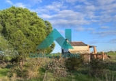 Casa con terreno en venta en la España, Cáceres, ref: TR293154 foto