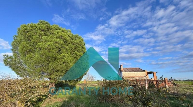 Cáceres - Cáceres - 4000m2