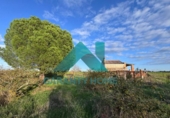 Casa con terreno en venta en la España, Cáceres, ref: TR293154 foto