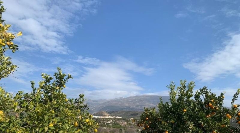Granada - Talará - 3500m2
