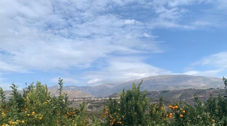Granada - Talará - 3500m2