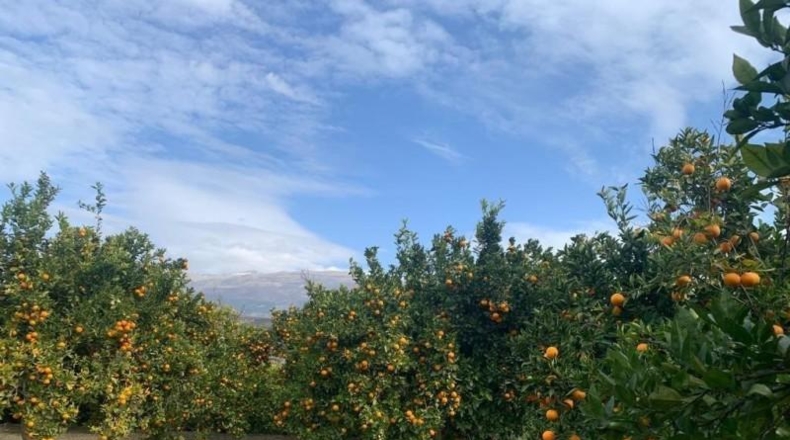 Granada - Talará - 3500m2