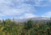 Terreno no urbanizable en venta en la España, Talará, ref: TR295107 foto