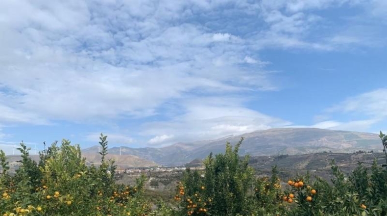 Granada - Talará - 3500m2