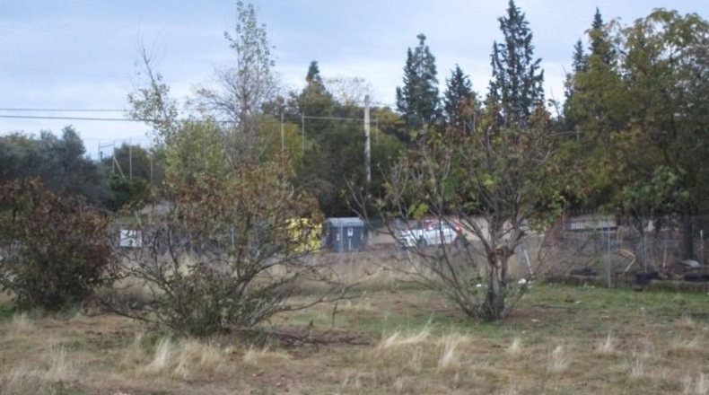 Córdoba - Córdoba - 3000m2
