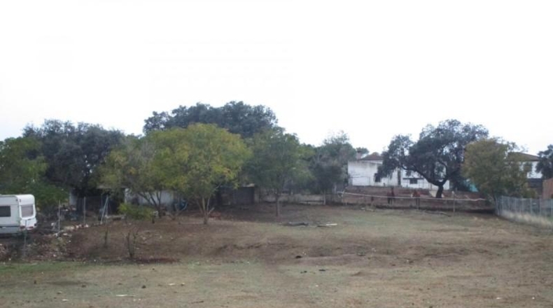 Córdoba - Córdoba - 3000m2