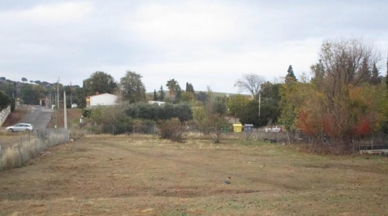 Córdoba - Córdoba - 3000m2
