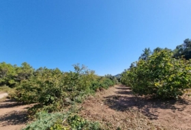 Foto 17