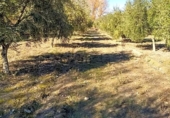 Terreno no urbanizable en venta en la España, Dílar, ref: TR124977 foto