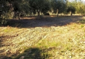 Terreno no urbanizable en venta en la España, Dílar, ref: TR124977 foto