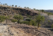 Casa de campo con terreno en venta en la España, Lorca, ref: TR296340 foto