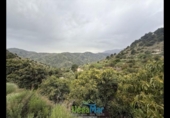 Terreno no urbanizable en venta en la España, Almuñécar, ref: TR408037 foto